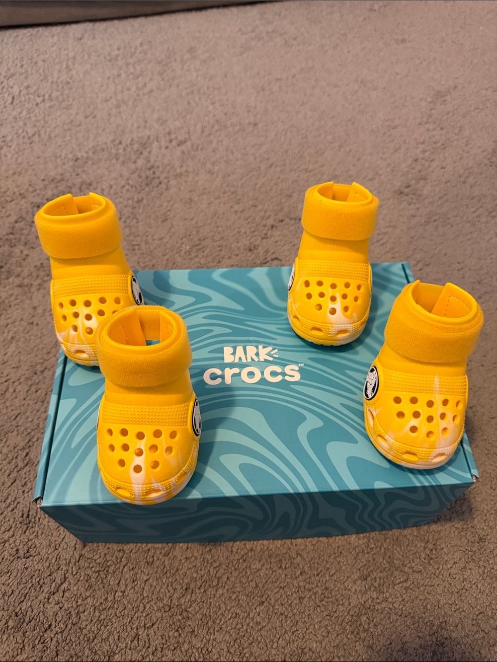 Dogs BARK Crocs